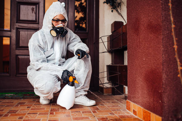 Reliable Cockroach Control contractor in New Wilmington, PA by Nex Pest Control
